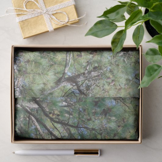 Georgia Pine Tree Branches 074 Seidenpapier (Geschenk)