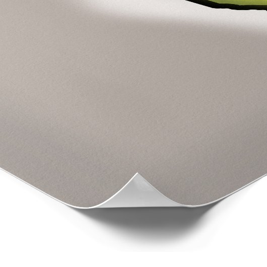 Georgia Poster (Ecke)