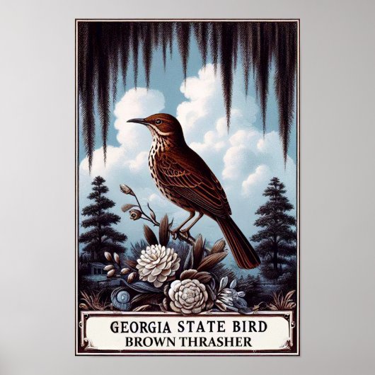 Georgia Staat Bird - Brown Thrasher Vintag Poster (Vorne)