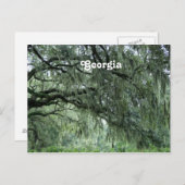 Georgia Trees Postkarte (Vorne/Hinten)