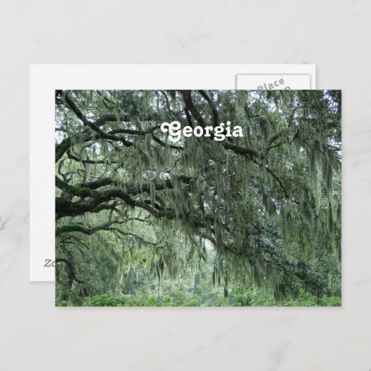 Georgia Trees Postkarte (Vorne/Hinten)