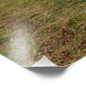 Georgianische Landschaft Fotodruck (Ecke)