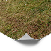 Georgianische Landschaft Poster (Ecke)