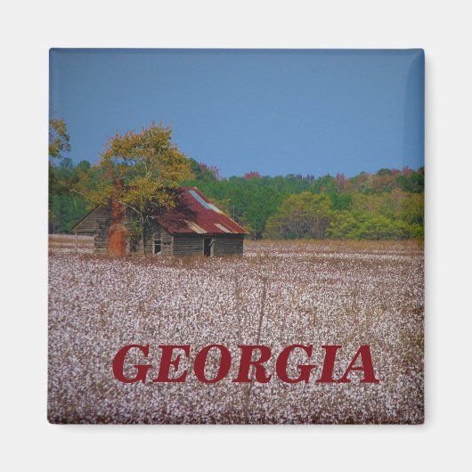 Georgie-Magnet Magnet (Vorne)