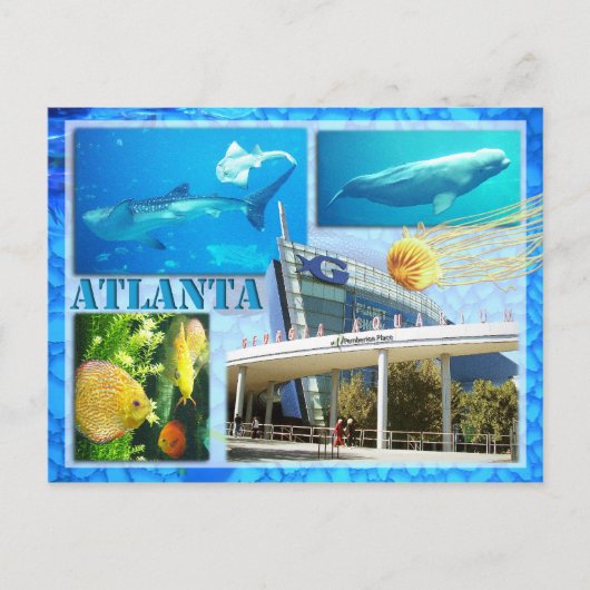 GEORGIEN AQUARIUM, ATLANTA, GEORGIEN POSTKARTE (Vorderseite)