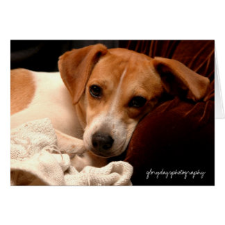 Georgien, Glorydaysphotographie