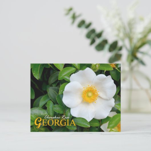 Georgien Staat Blume: Cherokee Rose Postkarte (Stehend Vorderseite)