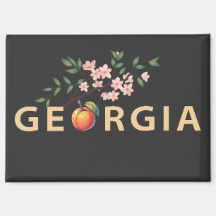 Georgien USA Magnet
