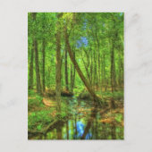 Georgienlandschaft Postkarte (Vorderseite)