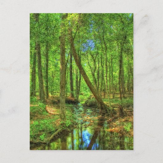 Georgienlandschaft Postkarte (Vorderseite)