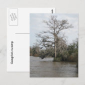 Georgiens Sumpf Postkarte (Vorne/Hinten)