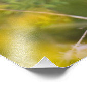 Geothlypis trichas), männlich, fotodruck (Ecke)