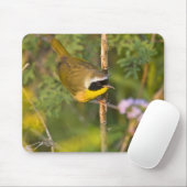 Geothlypis trichas), männlich, mousepad (Mit Mouse)