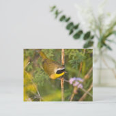Geothlypis trichas), männlich, postkarte (Stehend Vorderseite)
