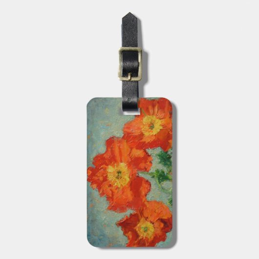 Gepäck- und Geldbeutelumbau Gepäckanhänger (Vorderseite vertikal)