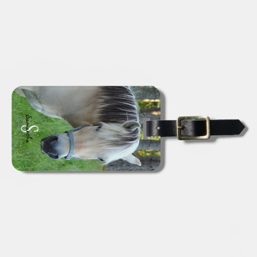 Gepäckanhänger (Vorderseite horizontal)