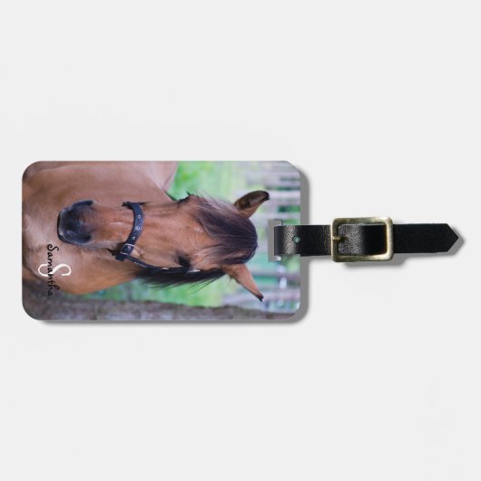 Gepäckanhänger (Vorderseite horizontal)