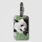 Gepäckanhänger 1. (Vorderseite Vertikal)