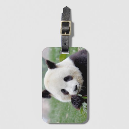 Gepäckanhänger 1. (Vorderseite Vertikal)