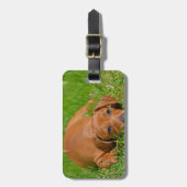 Gepäckanhänger - besonders angefertigt (Vorderseite vertikal)