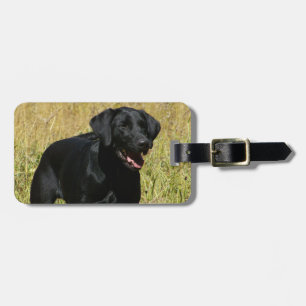 Gepäckanhänger - besonders angefertigt