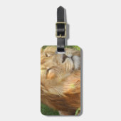 Gepäckanhänger - besonders angefertigt (Vorderseite vertikal)