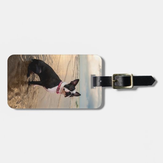 Gepäckanhänger Bostons Terrier (Vorderseite horizontal)