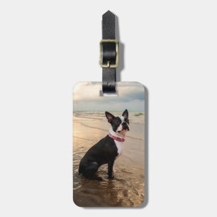 Gepäckanhänger Bostons Terrier