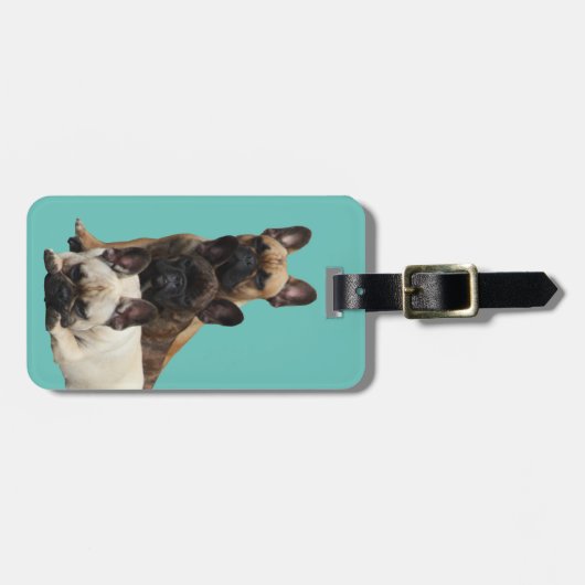 Gepäckanhänger französische Bulldoggen (Vorderseite horizontal)