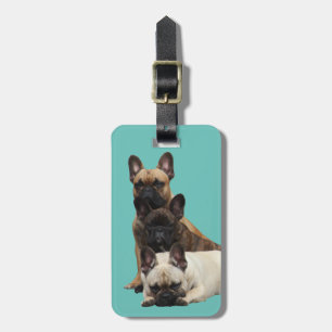 Gepäckanhänger französische Bulldoggen 