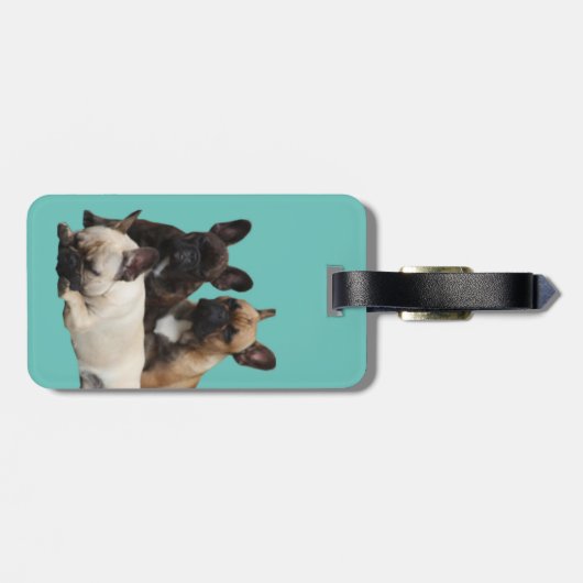 Gepäckanhänger französische Bulldoggen (Rückseite horizontal)