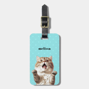 Gepäckanhänger für Katzen