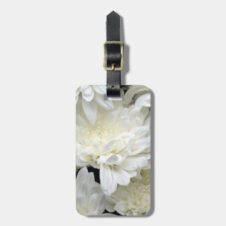 Gepäckanhänger mit Lederband