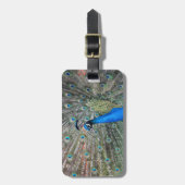 Gepäckanhänger mit Lederband und Pfau (Vorderseite vertikal)