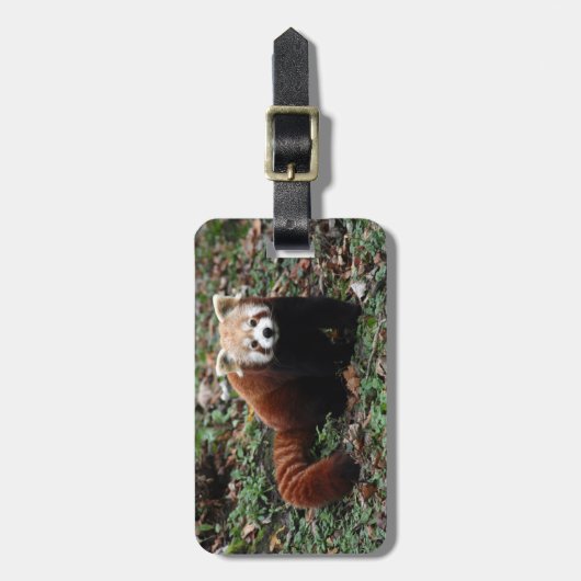 Gepäckanhänger - roter Panda 3 (Vorderseite vertikal)