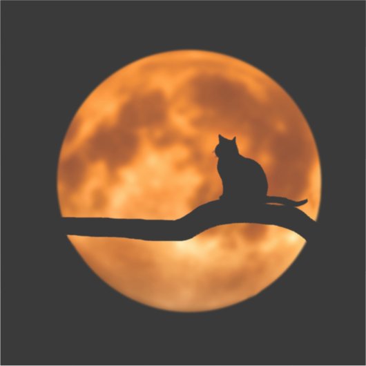 Gepäckdekor Aufkleber (Vorderseite)