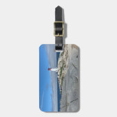 Gepäckmarke für das Cove Lighthouse von Peggy Gepäckanhänger (Vorderseite vertikal)