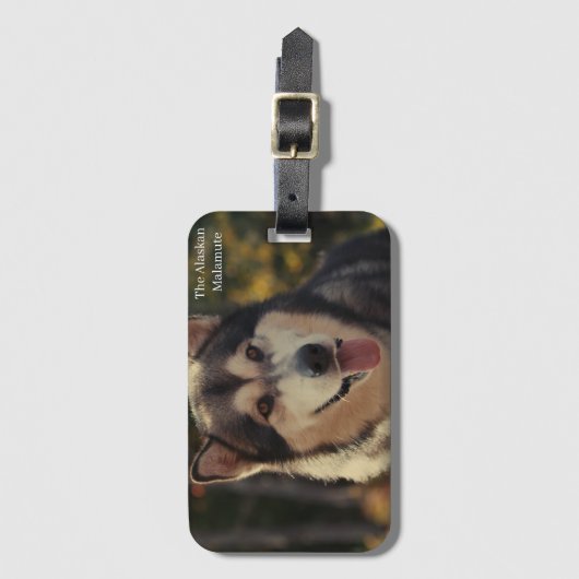 Gepäckmarke Gepäckanhänger (Vorderseite Vertikal)