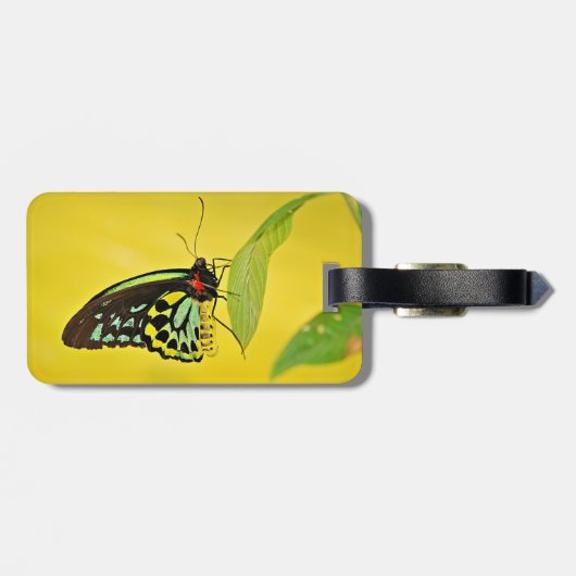 Gepäckmarke Gepäckanhänger (Rückseite horizontal)