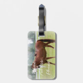 Gepäckmarke/Pferde Gepäckanhänger (Rückseite vertikal)