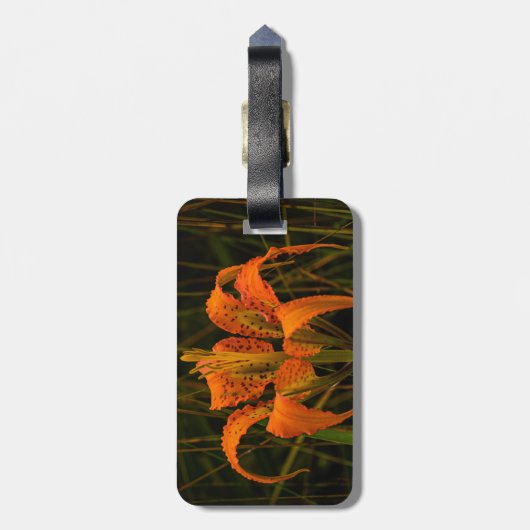 Gepäckmarke "Pine Lily" Gepäckanhänger (Rückseite vertikal)