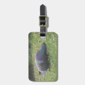 Gepäcktäubchen Gepäckanhänger (Vorderseite vertikal)