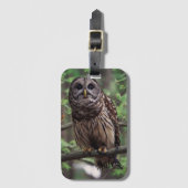 Gepäckträger Gepäckanhänger (Vorderseite Vertikal)