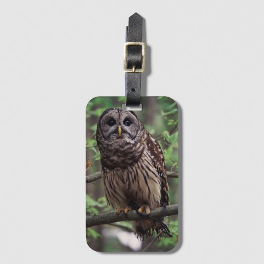 Gepäckträger Gepäckanhänger (Vorderseite Vertikal)