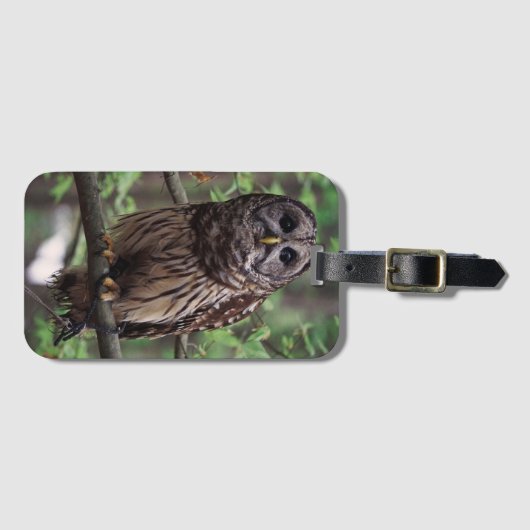 Gepäckträger Gepäckanhänger (Vorderseite (Horizontal))