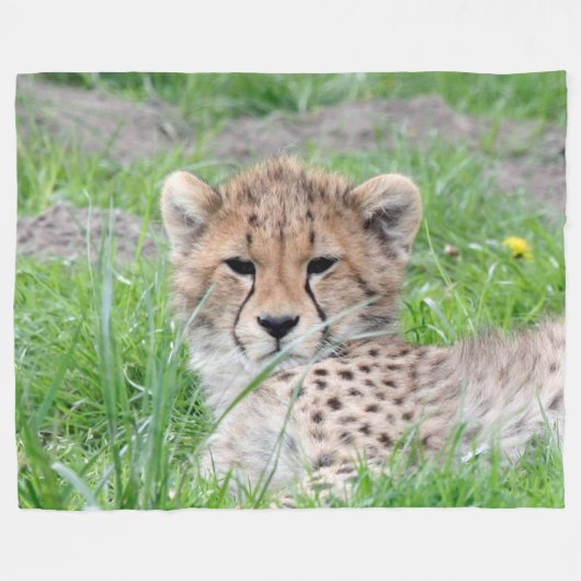 Gepard20150904 Fleecedecke (Vorderseite (Horizontal))