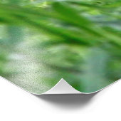 Gepard20150904 Fotodruck (Ecke)