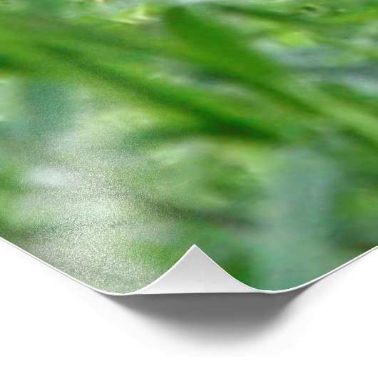 Gepard20150904 Fotodruck (Ecke)