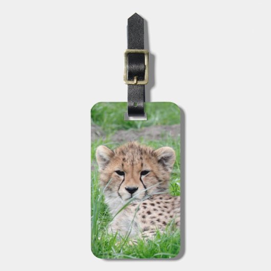 Gepard20150904 Gepäckanhänger (Vorderseite vertikal)