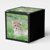 Gepard20150904 Geschenkschachtel (Vorderseite)